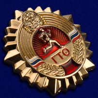 Золотой знак ГТО Золотой знак ГТО.